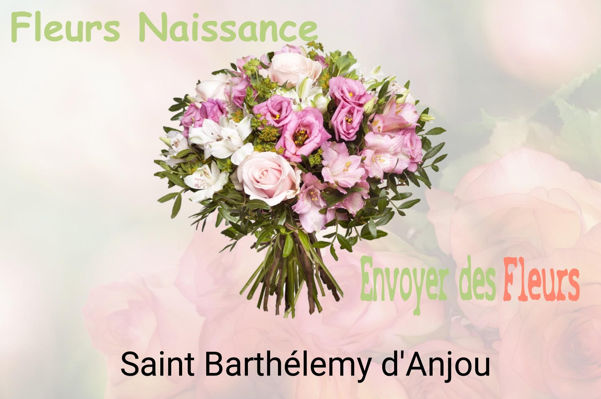 Bouquet de fleurs de naissance livré à Saint-Barthélemy-d'Anjou